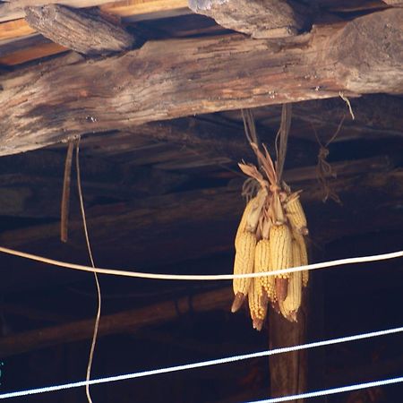 Pensjonat Ramajal Rural Horcajo  Zewnętrze zdjęcie